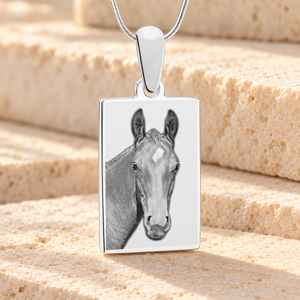 Rectangle Photo Engraved Stainless Pet Keepsake — main — evr6408s