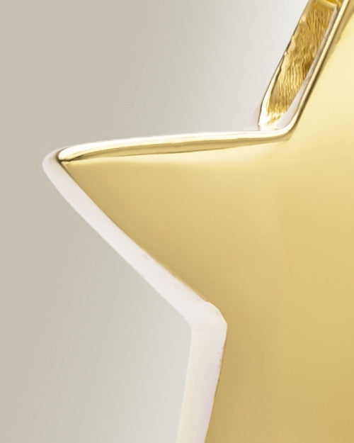 Sliding Star Gold Plated Cremation Urn Keepsake