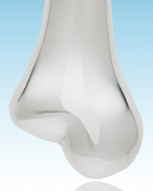 Silvery Bone Pet Memorial Jewelry
