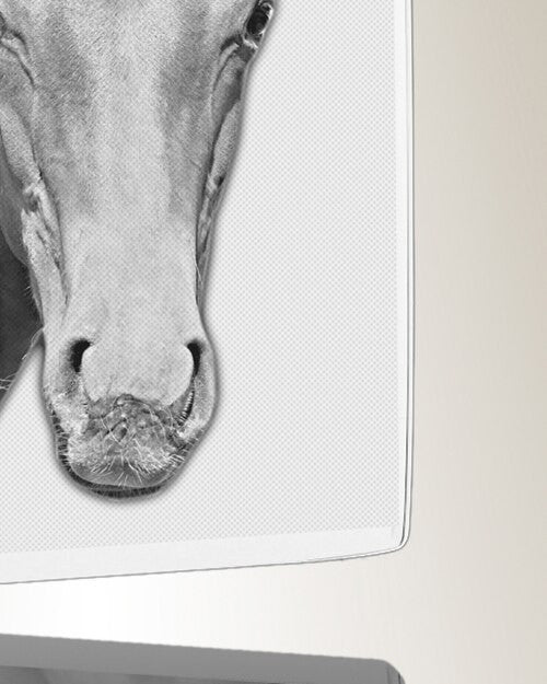 Rectangle Photo Engraved Stainless Pet Keepsake