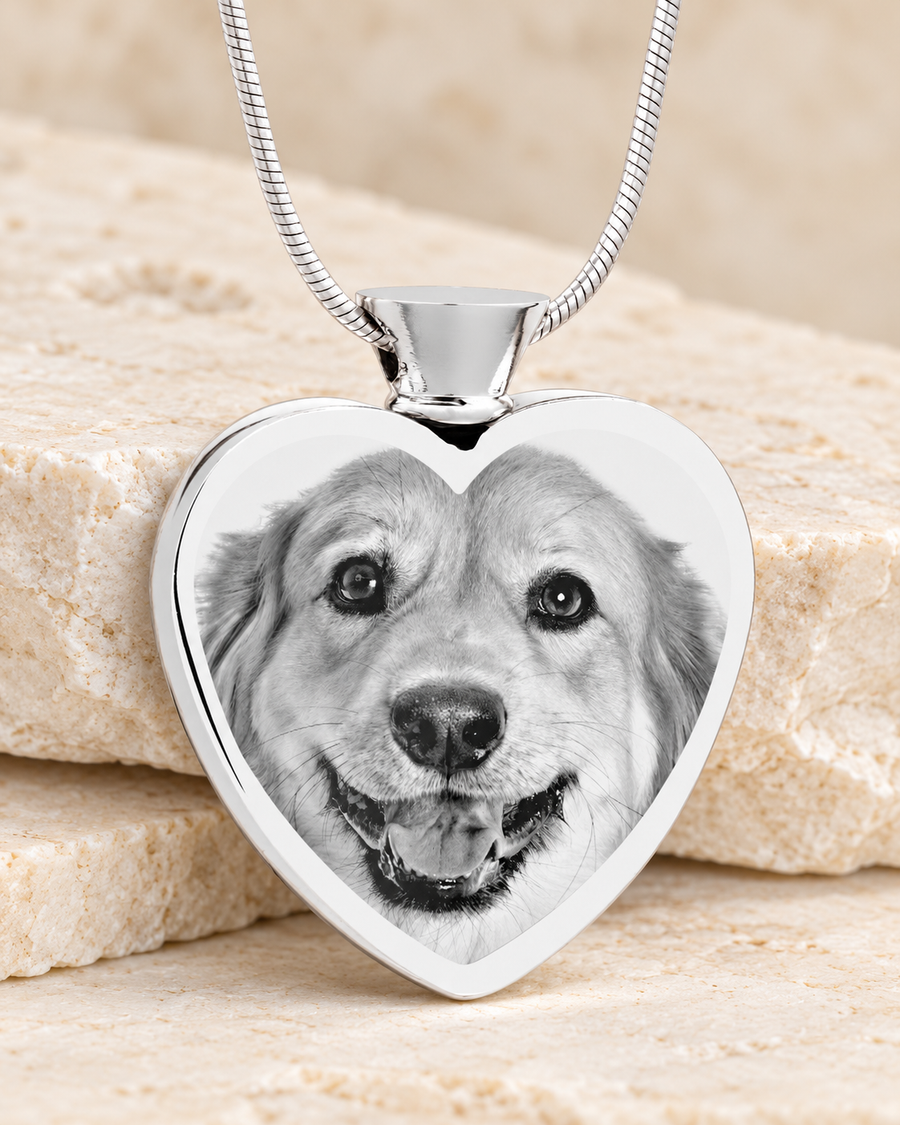 Heart Stainless Steel Photo Engraved Ash Pet Pendant